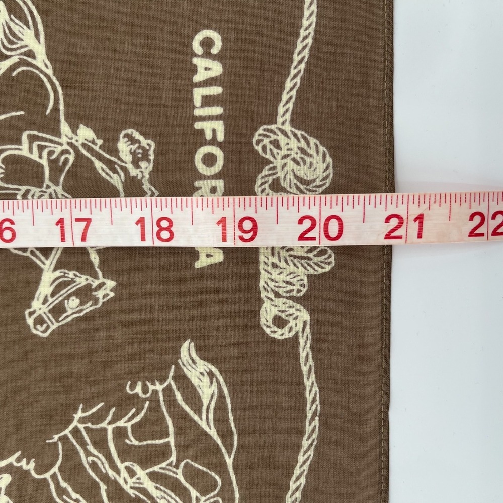 Buck Mason x Lee Riders Bandana 21 x 21 Brown Rodeo California Cotton Japan Made - Picture 6 of 7